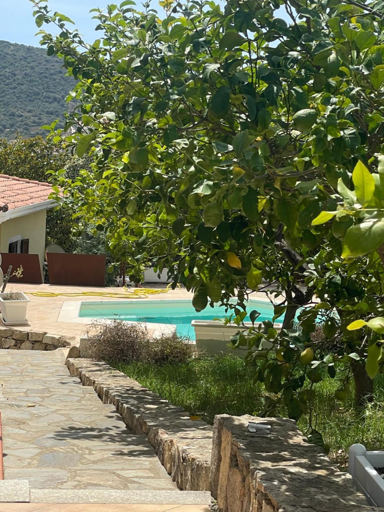 Sa Murta Bianca Guesthouse 부도니 외부 사진